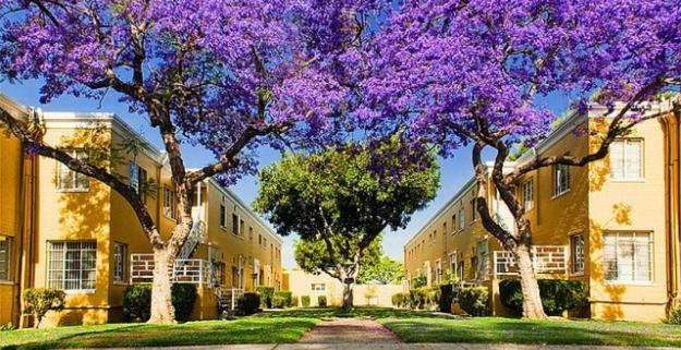 2 Bedroom Condo With A View Near The Grove ロサンゼルス エクステリア 写真